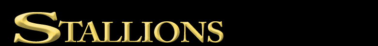 Stallions